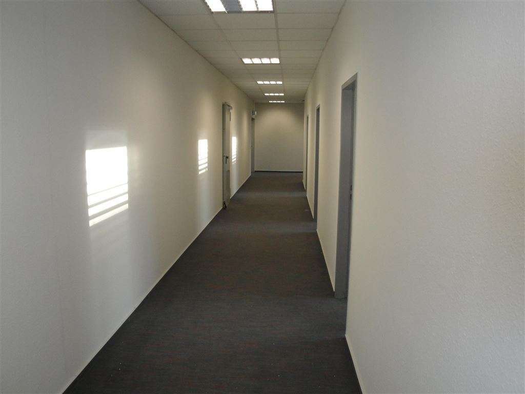 !!! 800m² bis 1200m² Lagerhalle Provisionsfrei in Top-Lage !!!